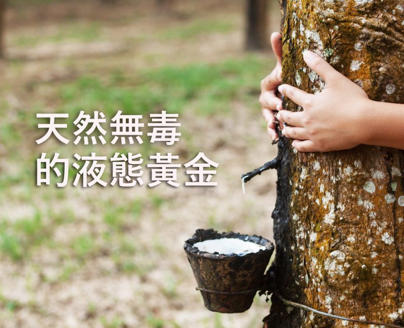 Asian woman hugging a  latex tree in a rubber estate in Malaysia